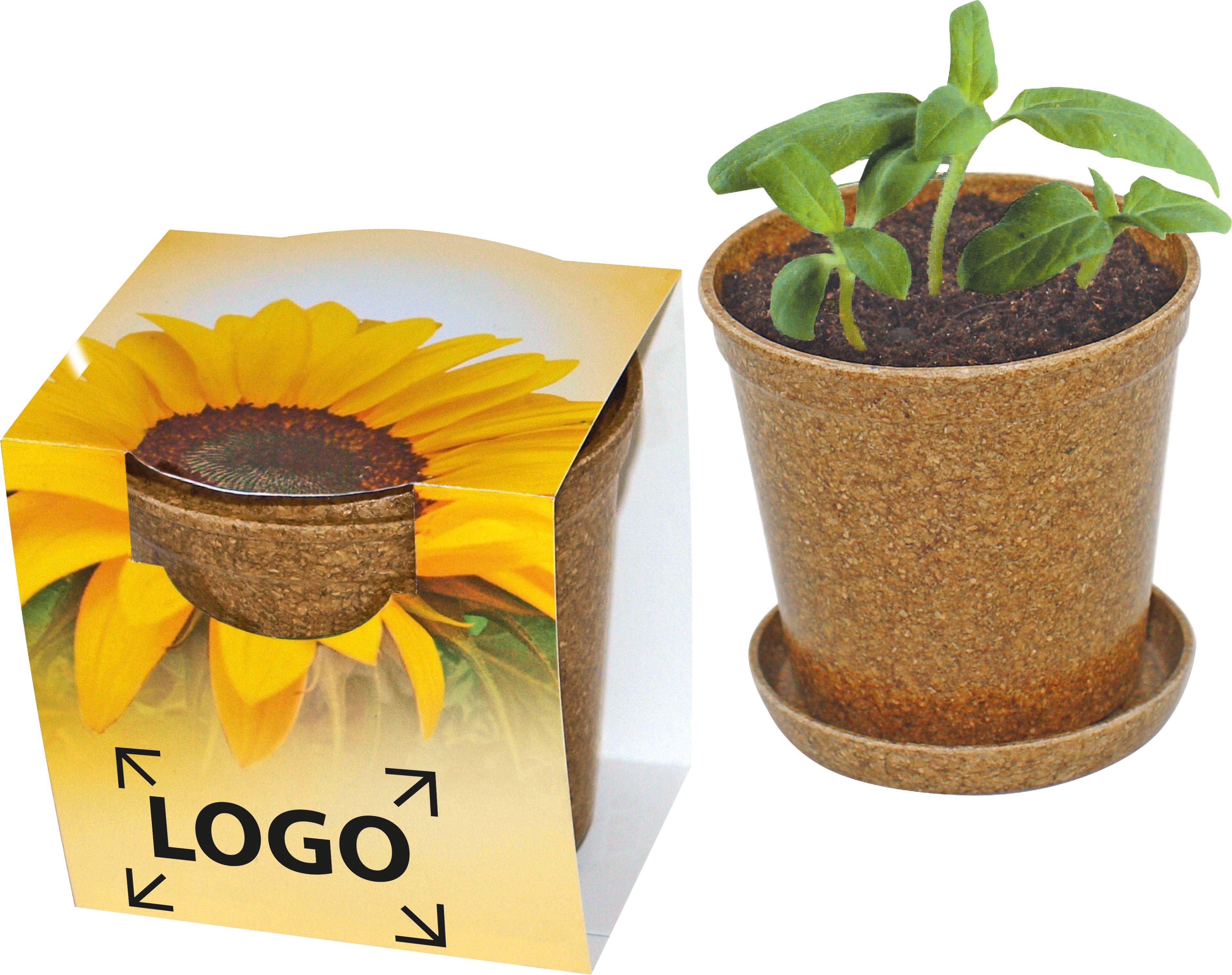 auf die Banderole (26,5 x 6,0 cm)