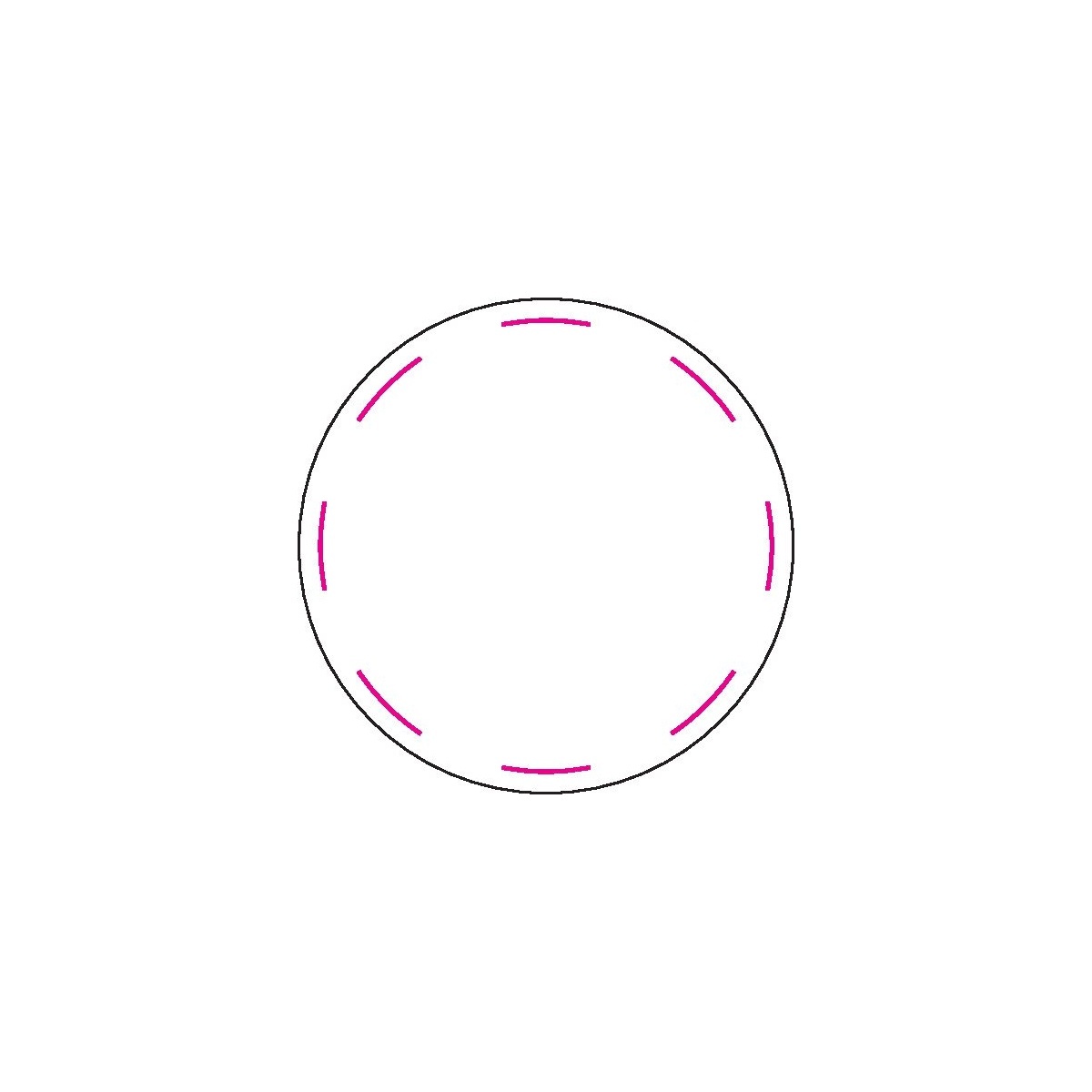 hinten (Ø 21 mm)