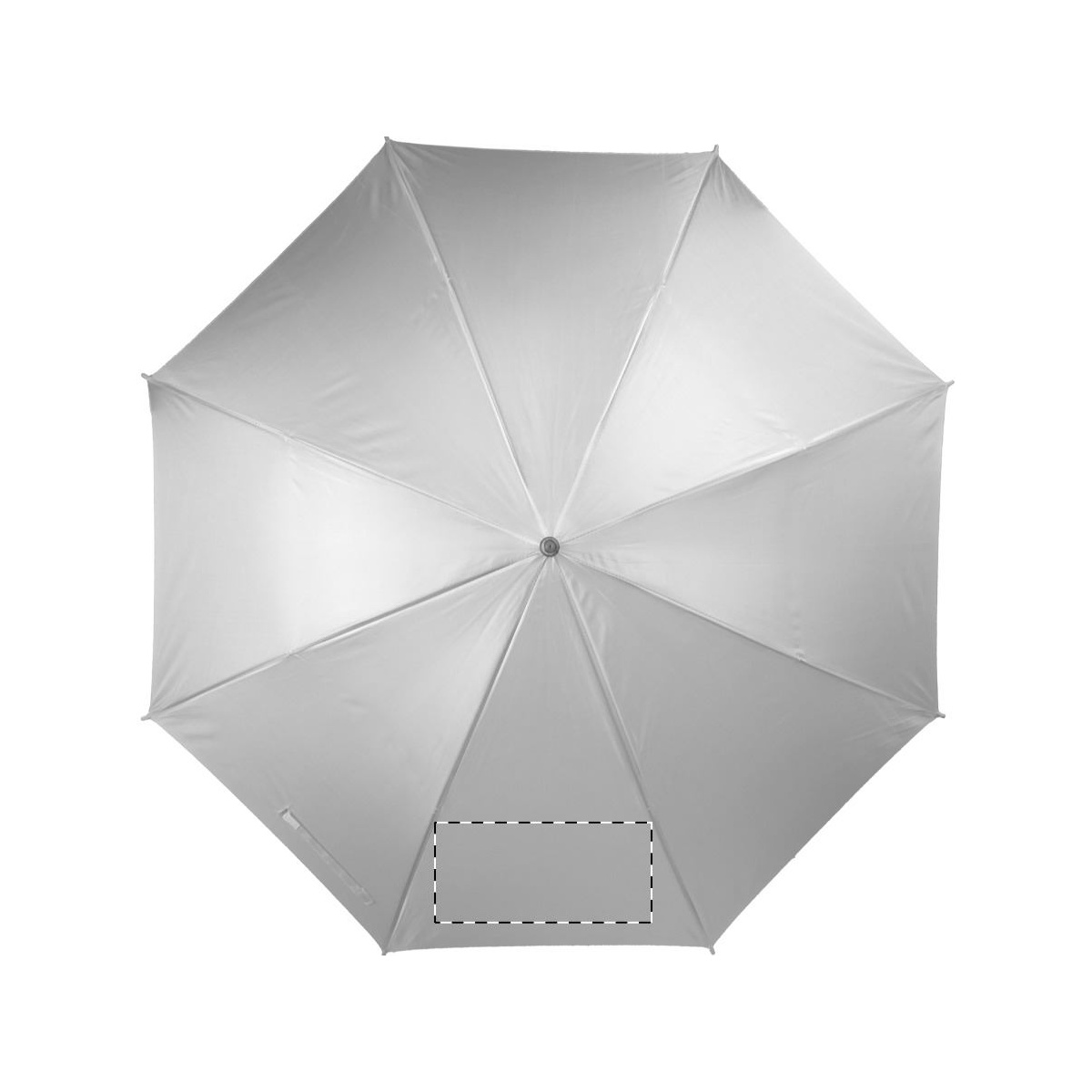 Segment 2 (170 x 100 mm)