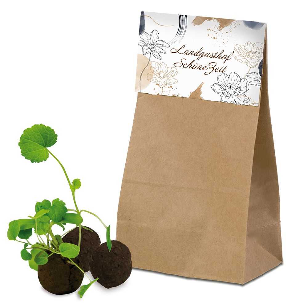 auf Karte (9,6 x 12,0 x 6,0 cm)