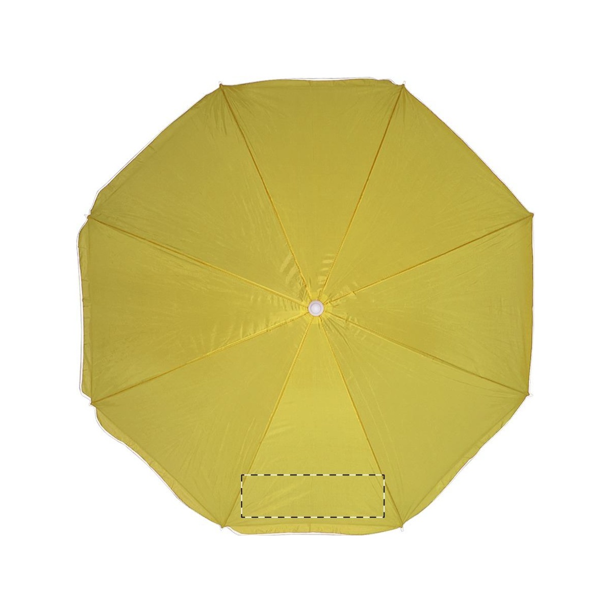 Segment 3 (260 x 130 mm)