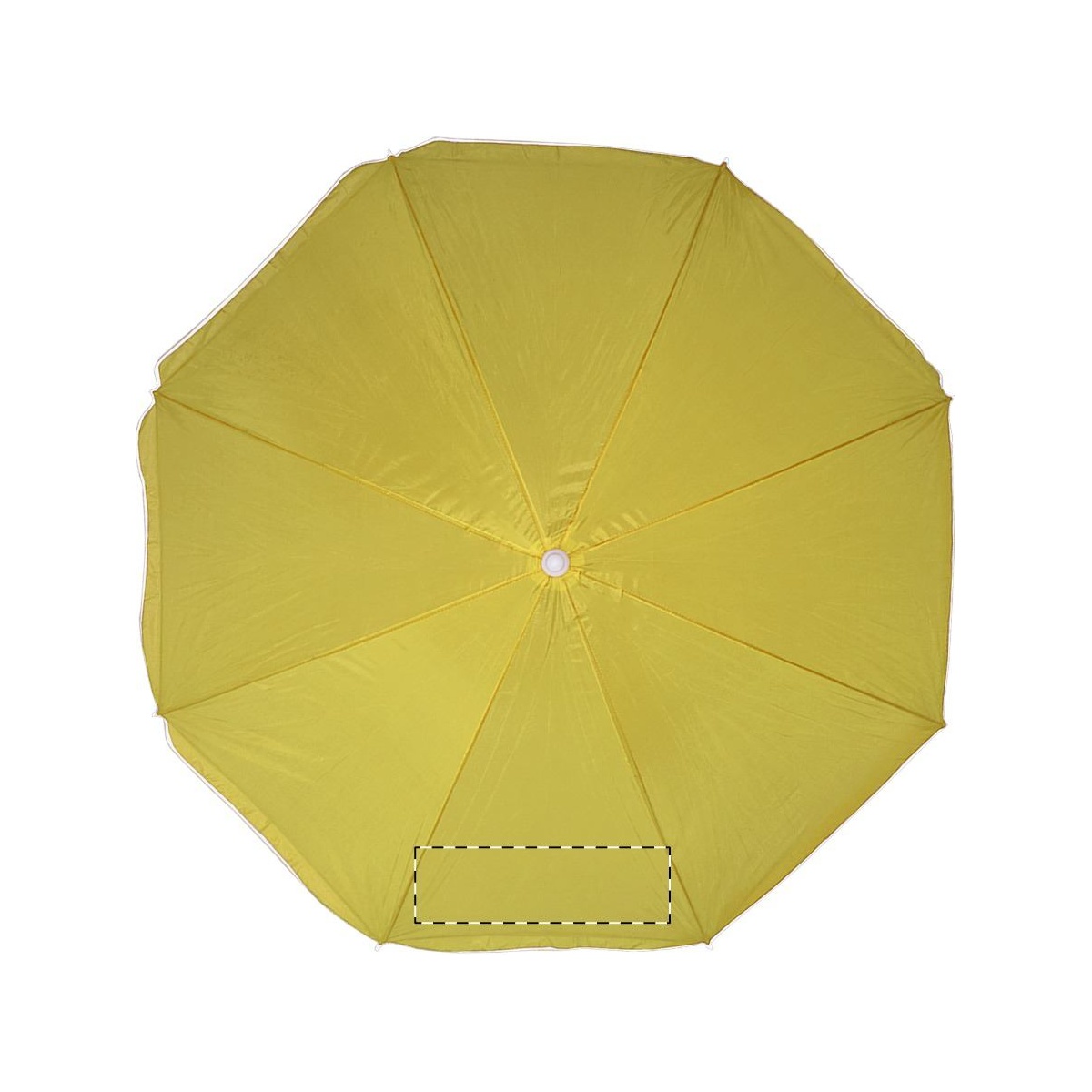 Segment 4 (260 x 130 mm)