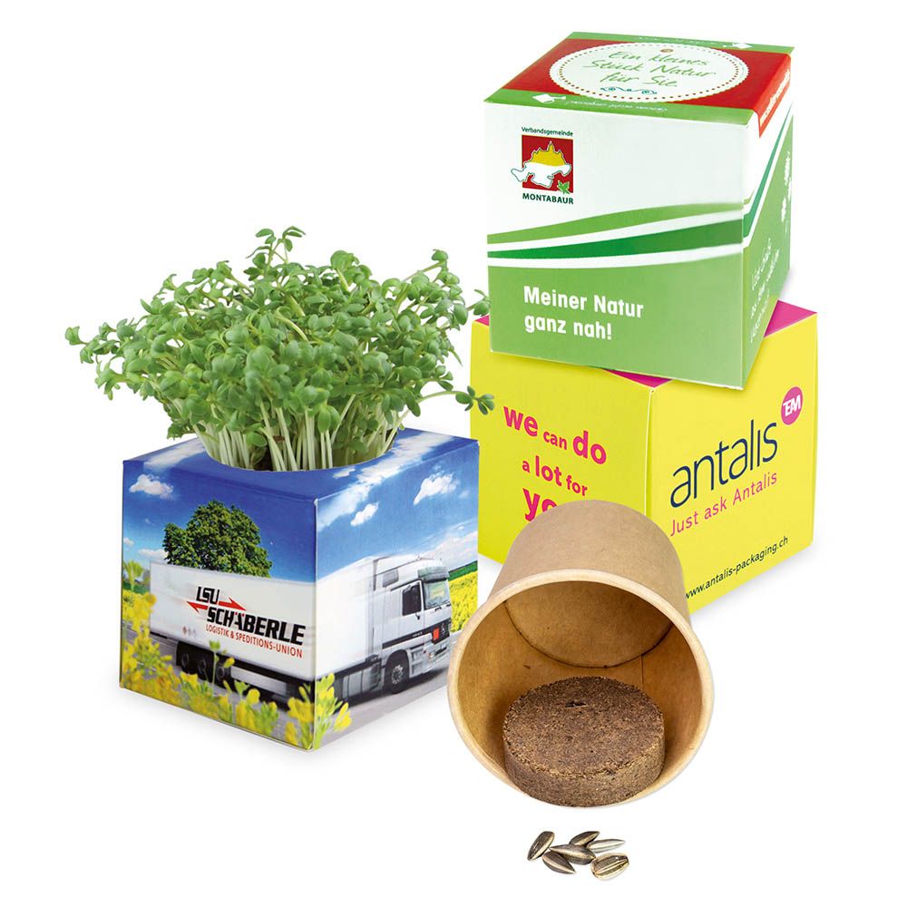 auf Schachtel (5 Flächen á 6,2 x 6,2 x 6,2 cm)