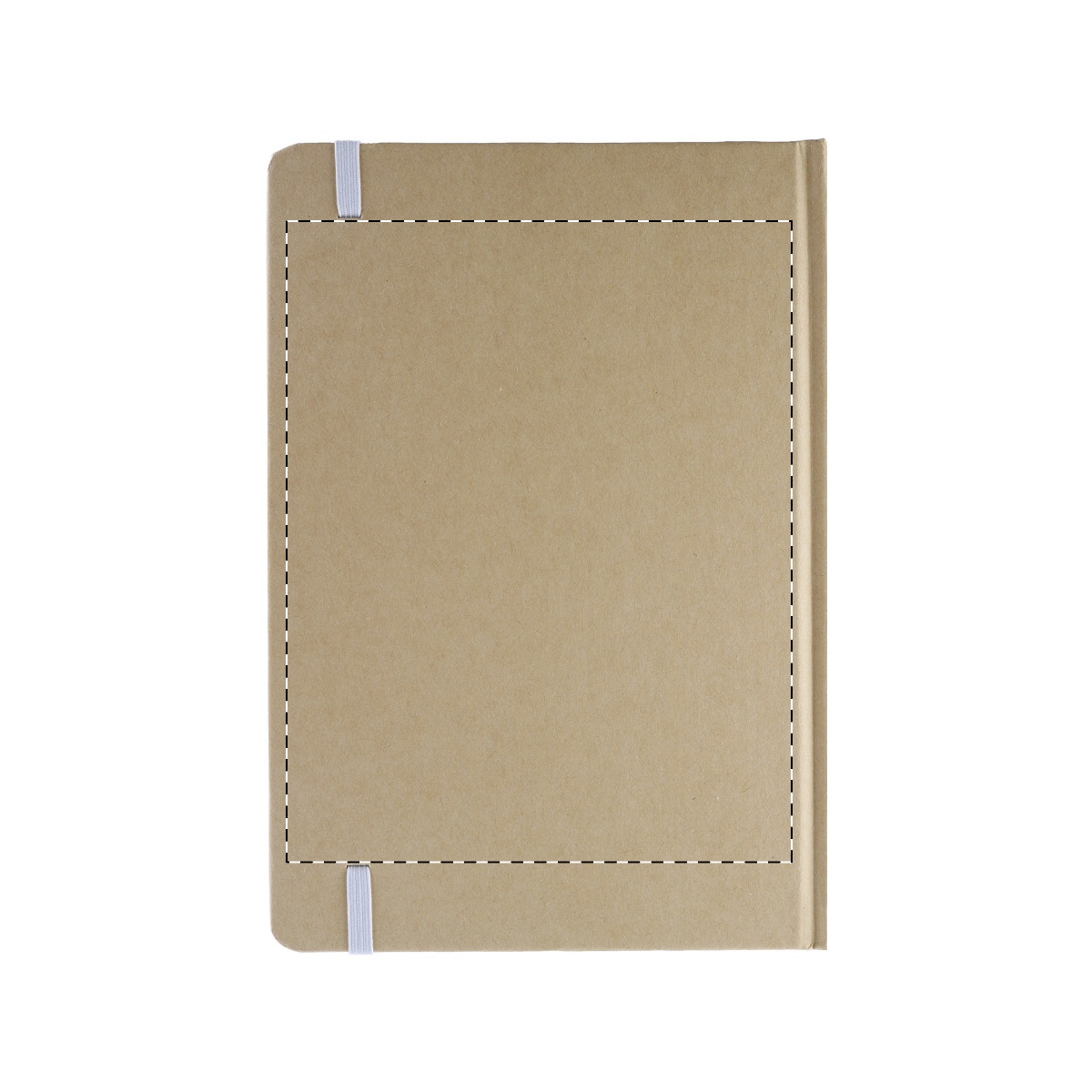 Rückseite (100 x 150 mm)