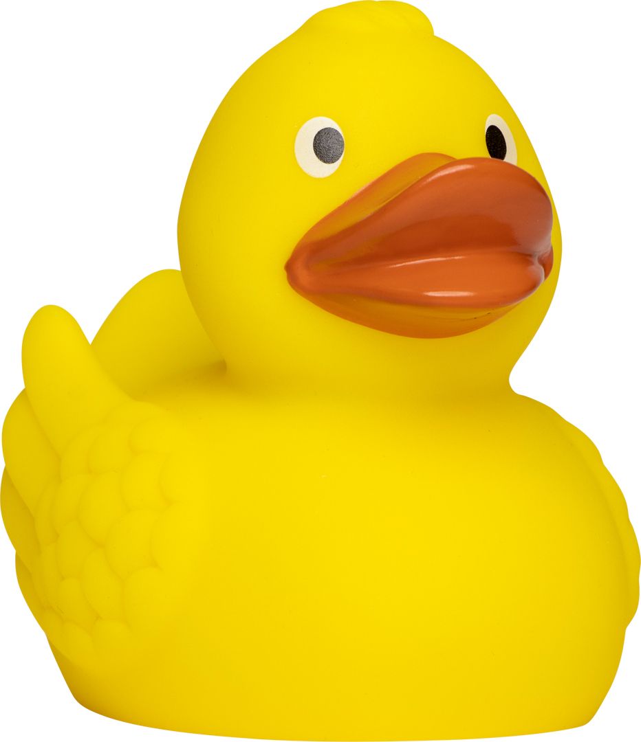 Ente Vorderseite (2 x 1 cm)