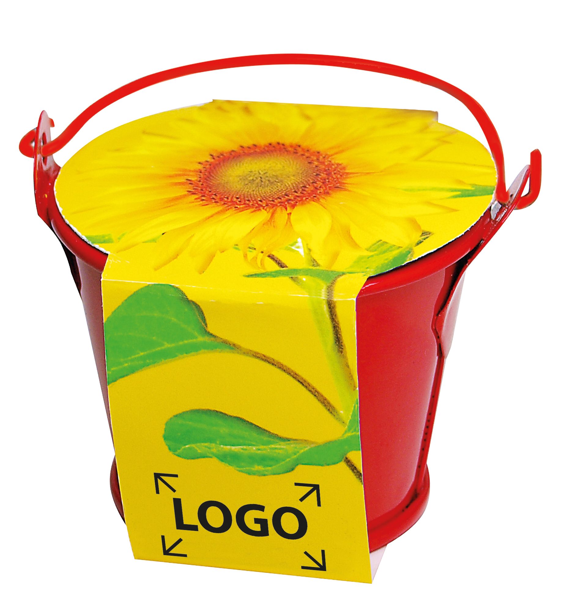 auf die Banderole (24,0 x 6,0 cm)