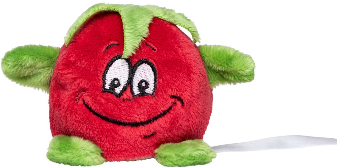 Werbefahne Vorderseite (5 x 1,2 cm)