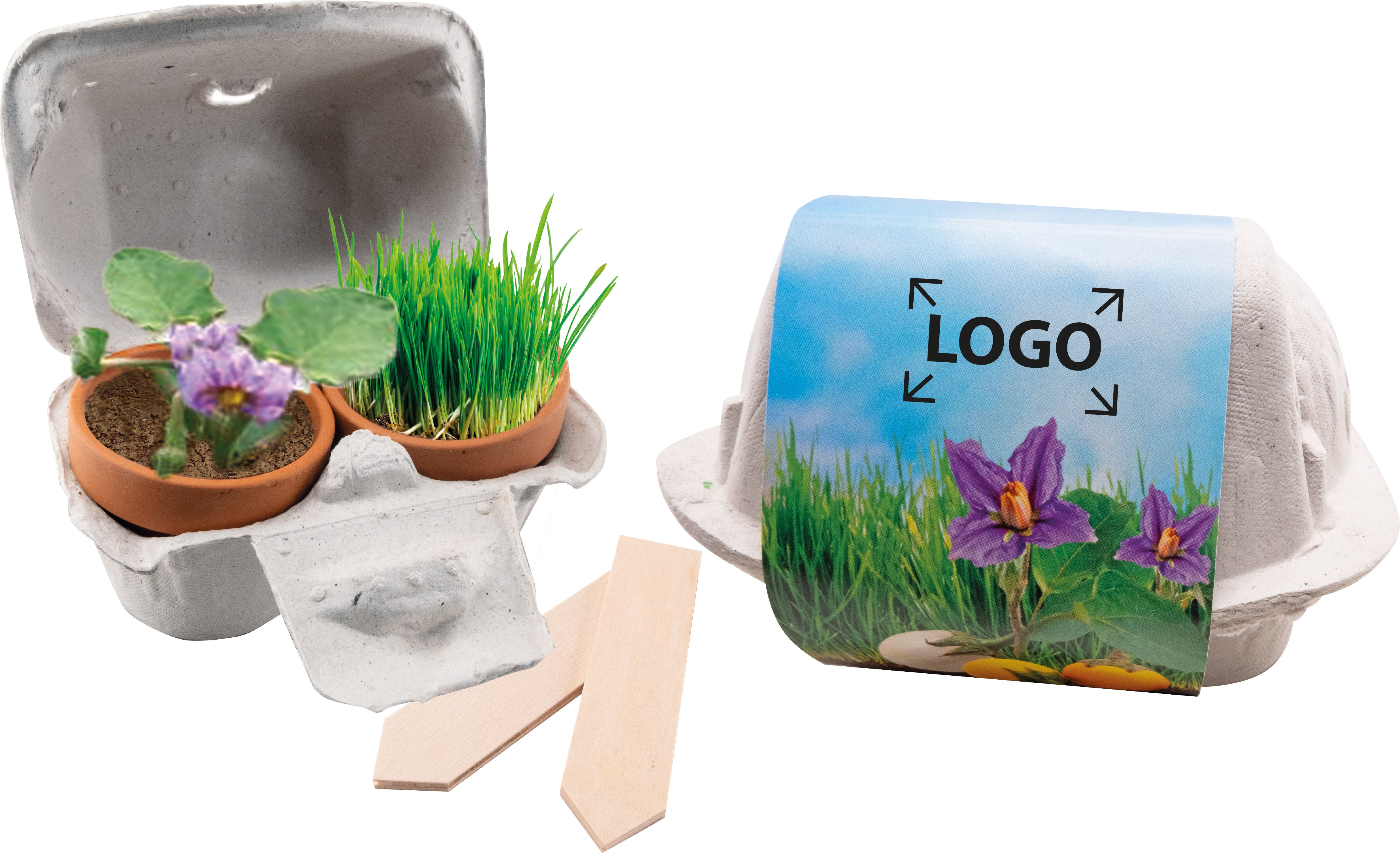 auf die Banderole (5,7 x 24,0 cm)