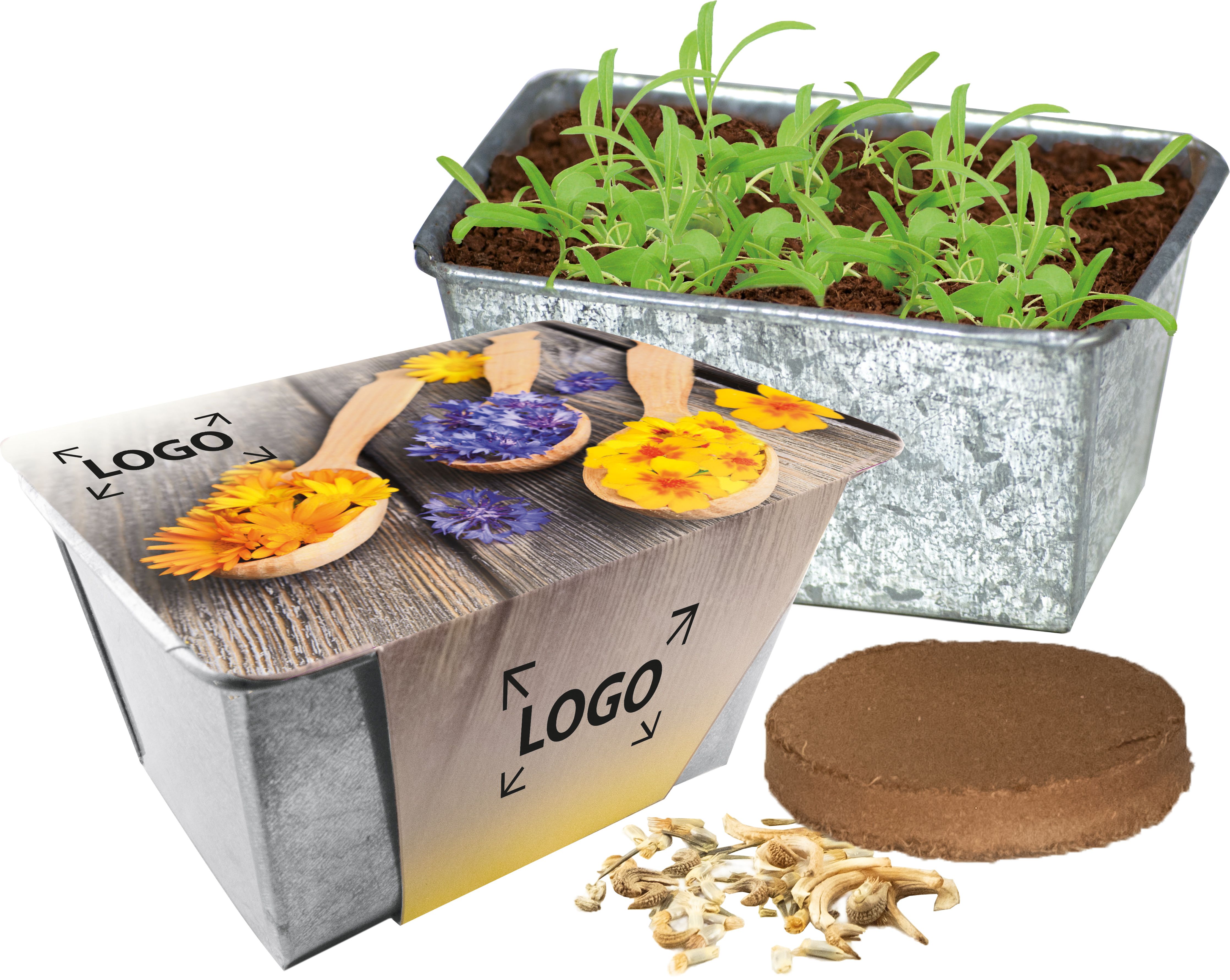 auf die Banderole (25,0 x 9,5 cm)